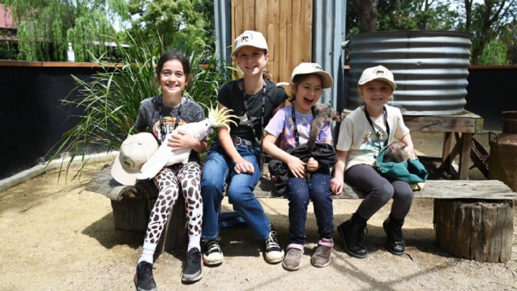 Children enjoying animal encounters during the spring school holidays at Amazement Farm & Fun Park.